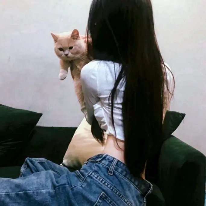 李碧华鬼魅系列：迷离夜 在线观看封面