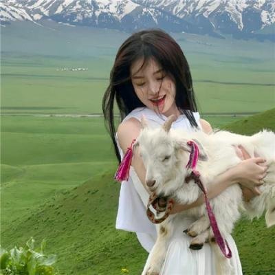 碧血剑粤语 在线观看封面