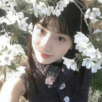 老九门 排行榜封面